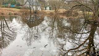 Ententeich in Herne-Süd – Bild 3