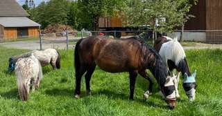 Jansen-Hof – Bild 2