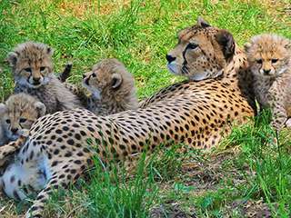 Zoo Landau in der Pfalz – Bild 3