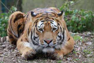 Zoo Landau in der Pfalz – Bild 5