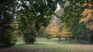 Les McKerral Park – Bild 2
