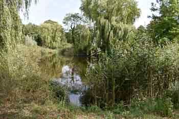 Credner-Anlagen – Bild 1