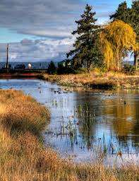 Terra Nova Rural Park Farm Centre – Bild 2