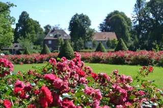 Gondelteich Stadtgarten Castrop-Rauxel – Bild 4