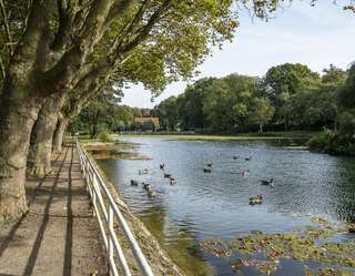 Gondelteich Stadtgarten Castrop-Rauxel – Bild 5