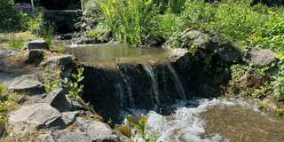 Gondelteich Stadtgarten Castrop-Rauxel – Bild 6