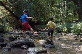 Willowgrove Farm, Day Camp, Field Trips, and Nature School – Bild 1