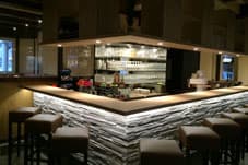 Chamäleon – Bild 4