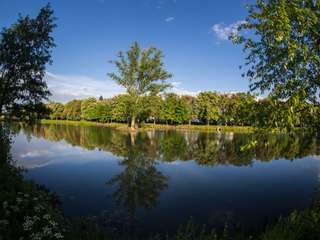 Schwanenteich – Bild 5