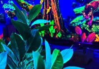 Farbrausch 3D Adventure Minigolf Magdeburg – Bild 3