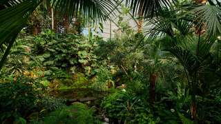 Palmengarten Frankfurt – Bild 4