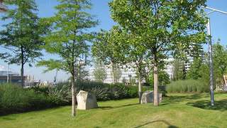 Grasbrookpark – Bild 4