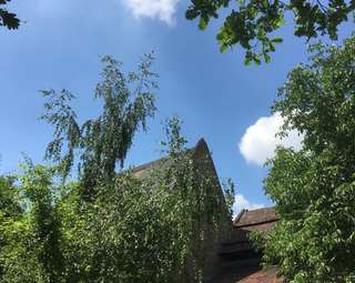 Seelenheilen e.V – Bild 6