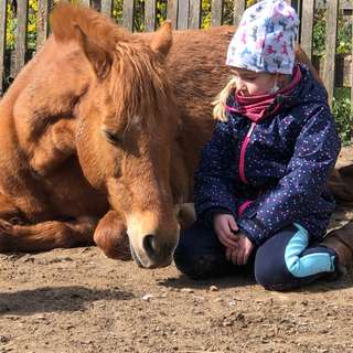 Ponyhof Oberwaldhaus – Bild 2