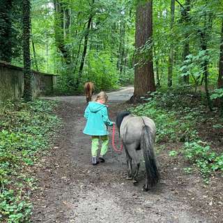Ponyhof Oberwaldhaus – Bild 4