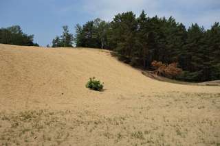 Scheinwerferberg – Bild 1