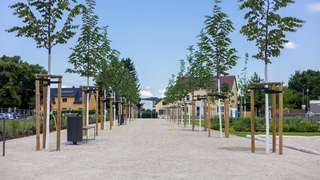 Mühlenpark – Bild 1